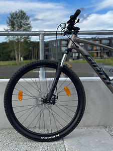 Jalgratas Giant 29 (5 foto / 6)