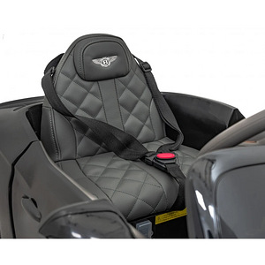 ELEKTRIAUTO BENTLEY BACALAR BLACK (6 foto / 6)