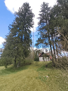 Продается старая мачта (1 фото из 9)