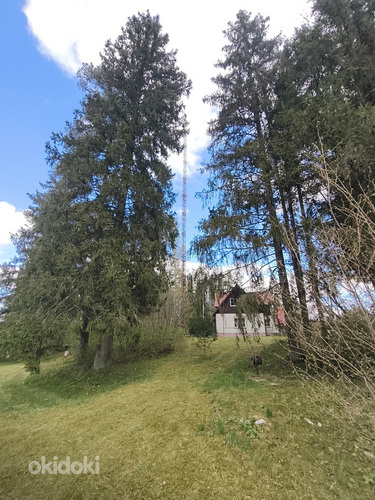 Продается старая мачта