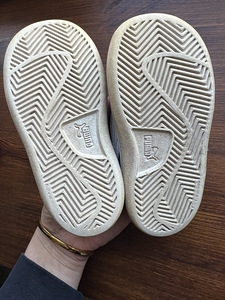 Puma tossud 22 (3 foto / 3)