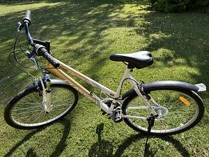 Bicycle Lady Sport Classic (1 foto / 10)