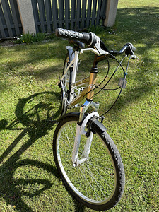 Bicycle Lady Sport Classic (3 foto / 10)