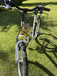 Bicycle Lady Sport Classic (6 foto / 10)