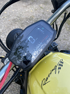 Yamaha Yzf600 R / Thundercat (8 foto / 9)
