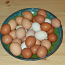 Хуторские яйца. (фото #1)