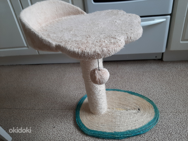 Кошачий домик