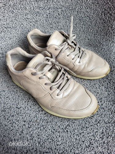 ECCO 38