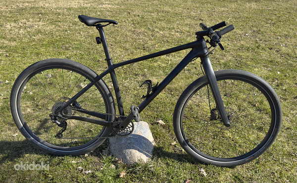 Carbon jalgratas L suurus