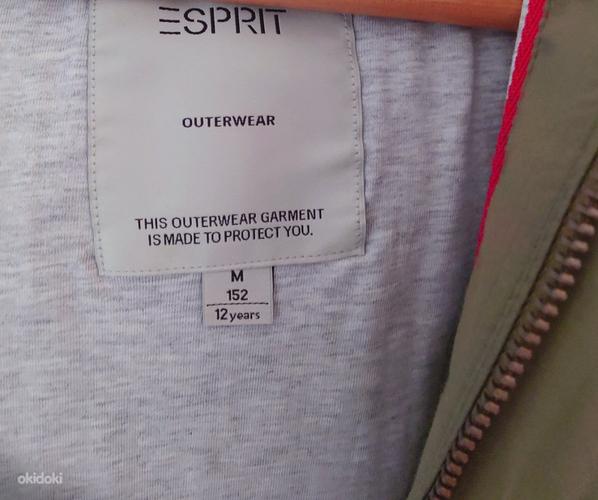 Новая детская куртка Esprit , р. 152 см (фото #7)
