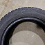 Gislaved Nord Frost 5 185/60 R15 4 шт (фото #2)