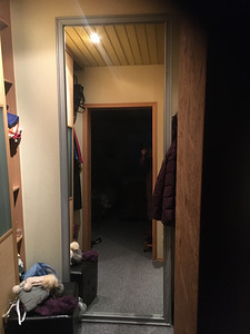 Suur peegel (2 foto / 2)
