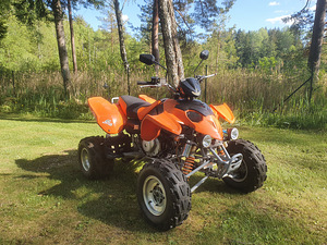 ATV Comanche 300cc. (1 фото из 8)