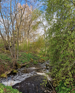 3к квартира с 2 балконами (13 фото из 13)