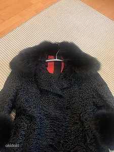 Шквара Л (4 фото из 8)