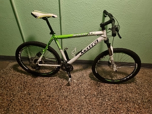 Cross Apolon Disc 24 käiku amort kuni 175 cm (7 foto / 7)