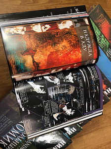 Сэндмен - Нил Гейман (Sandman - Neil Gaiman) (2 фото из 3)