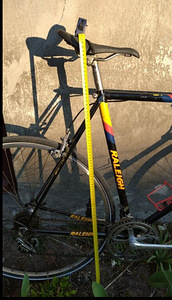 Team Raleigh (4 фото из 4)