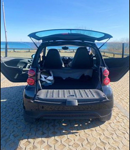 Smart ForTwo 2012 DIISEL (6 фото из 7)