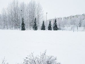 Mustakivi tee 25, Lasnamäe, Tallinn, Harjumaa (44 foto / 46)