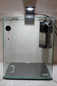 Аквариум Dennerle Nanocube basic 20L - 2022 version (4 фото из 9)