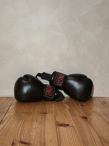 Fairtex SP5 jalakaitsmed ja Falco poksikindad (2 foto / 2)