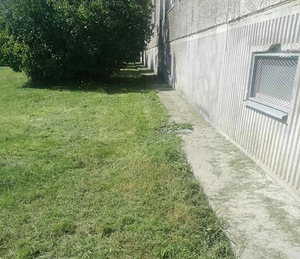Multione laaduriga töötamine ja muru niitmine (4 foto / 6)