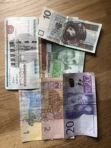 Üks partii (6 foto / 6)