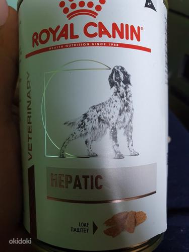 Royal canin hepatic (foto #1)