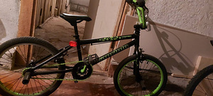 Capriolo Totem 20" Green 18 (2 foto / 2)