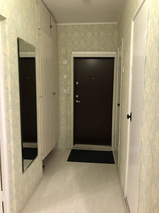 Ravila tn 44, Veeriku, Tartu, Tartumaa (5 foto / 18)