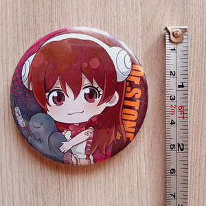 Anime rinnamärgid, rinnamärk (9 foto / 10)
