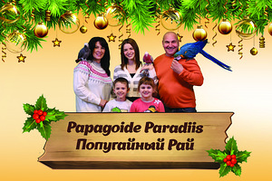 Kinkekaart (30-50-100 euro) "Papagoide Paradiis"