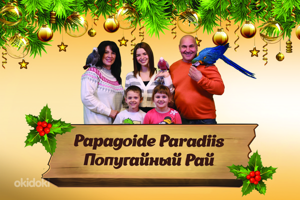 Kinkekaart (30-50-100 euro) "Papagoide Paradiis" (foto #1)