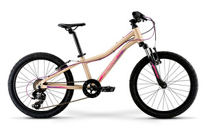 Jalgratas Merida Matts j20 (2 foto / 9)