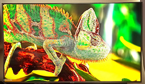 Müün nutitelerit 75-tollise (190 cm) diagonaaliga (3 foto / 3)
