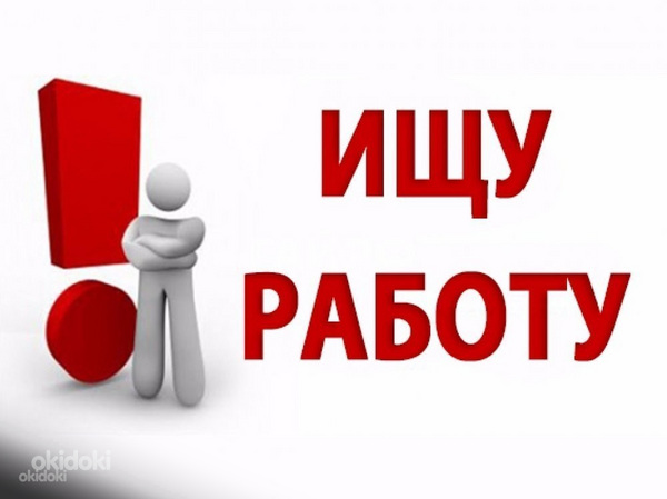 Ищу работу
