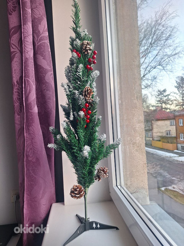 Jõulupuu (foto #1)