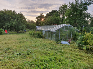 Kure tee, Maardu, Harjumaa (4 foto / 9)