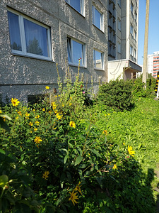 Linnamäe tee 1, Lasnamäe, Tallinn, Harjumaa (14 foto / 14)