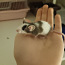 Продам мышек (фото #2)