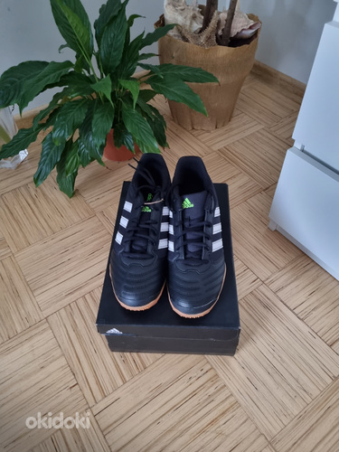 Uued futsali tossud