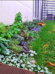 Soinaste tn 8d, Tammelinna, Tartu, Tartumaa (14 foto / 14)