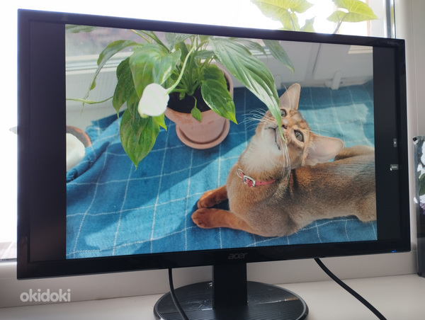 Монитор Aser k242HYL