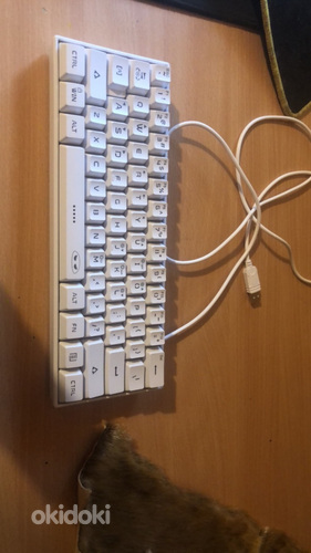 Tervist on pakkuda uueväärne 60% klaviatuur magegee ts91 (foto #2)