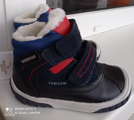 Зимние новые ботиночки Geox р 22(стелька 14,7) (фото #1)