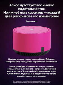Yandex Lite nutikõlar koos Alice'iga (5 foto / 10)
