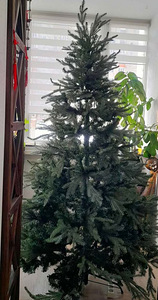 Müüa kunstkuusk (2 foto / 2)