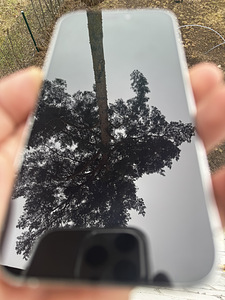 iPhone 14 Pro 128 Гб серебристый (5 фото из 5)
