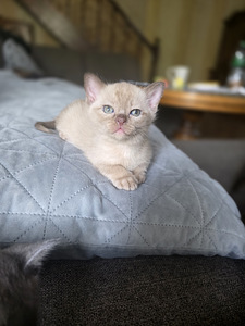 Burma